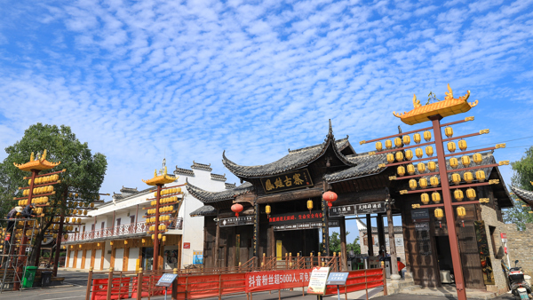 武汉市新洲区概况